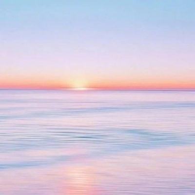 bob综合在线体育