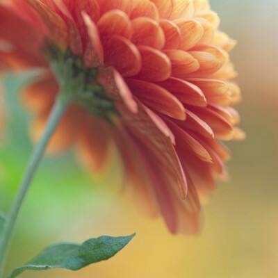 zoty中欧体育·(KOK)