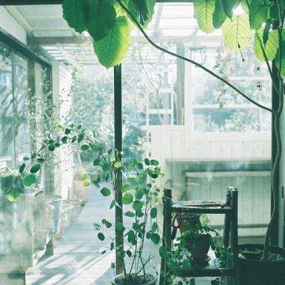 快3大小单双平台