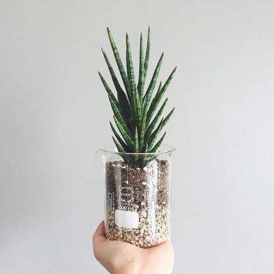 全民彩票手机app下载