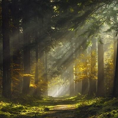 江南体育下载下载手机版