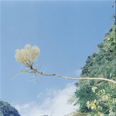 开元集团游戏网站app截图