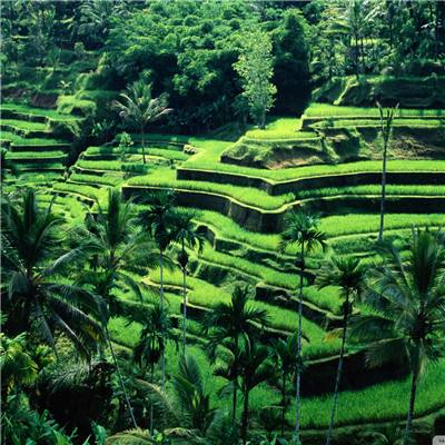 金沙8888js官方截图