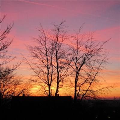 kaiyun电竞入口截图