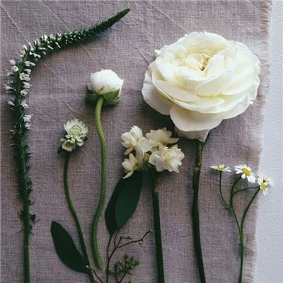 半岛·综合体育下载手机版